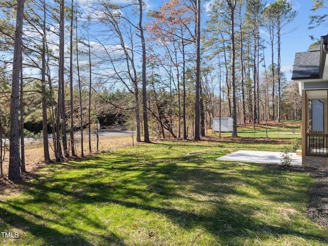 view of yard with a patio and a storage unit