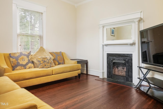 living area featuring a fireplace with raised hearth, wood finished floors, baseboards, and ornamental molding
