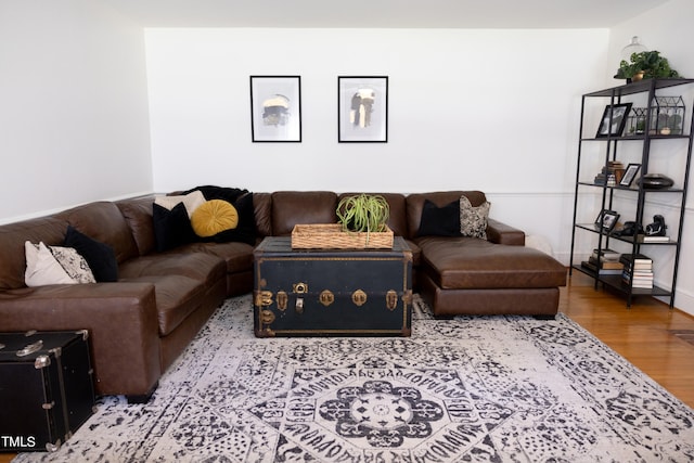 living room with hardwood / wood-style flooring