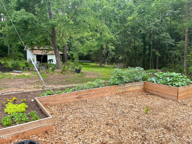 view of yard featuring an outbuilding