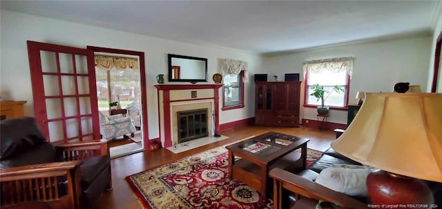 living room with hardwood / wood-style flooring