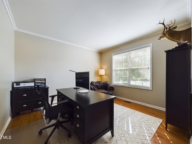 office featuring crown molding and hardwood / wood-style flooring