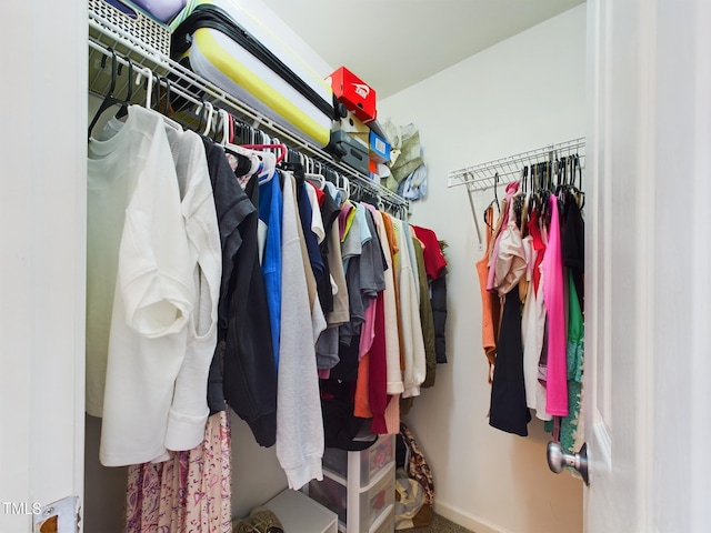 view of walk in closet