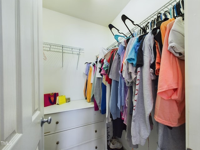 view of walk in closet