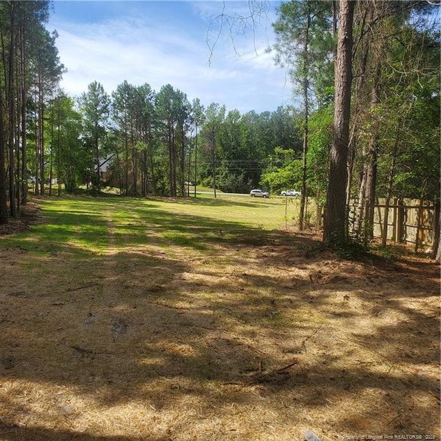 LOT3 Rockfish Rd, Raeford, NC 28376 - photo 2