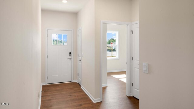 doorway to outside featuring dark hardwood / wood-style flooring