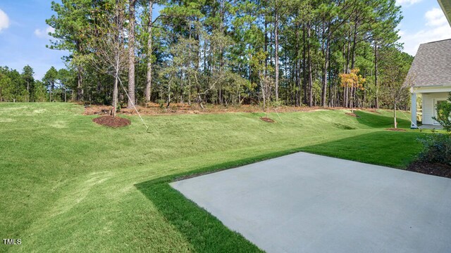 view of yard with a patio