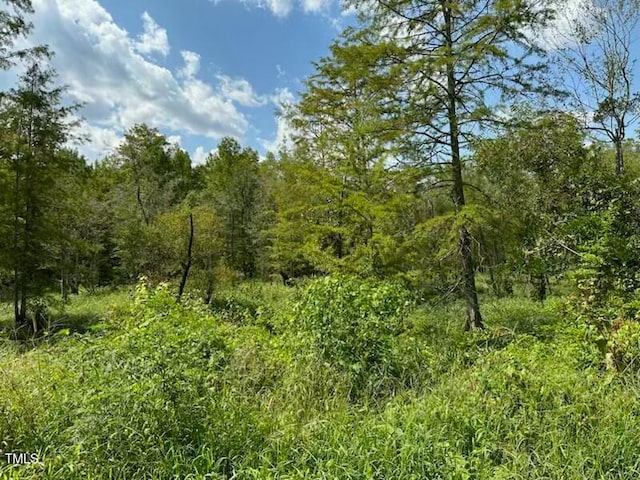 0 Langdon Rd, Angier NC, 27501 land for sale