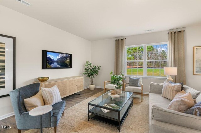 living room with wood-type flooring