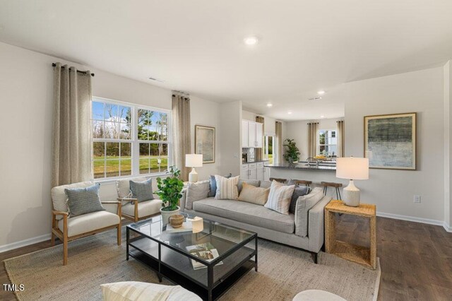 living room with hardwood / wood-style flooring