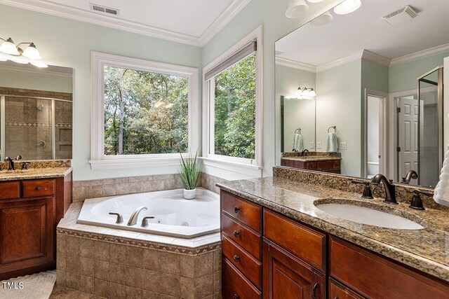 bathroom with crown molding, vanity, and separate shower and tub