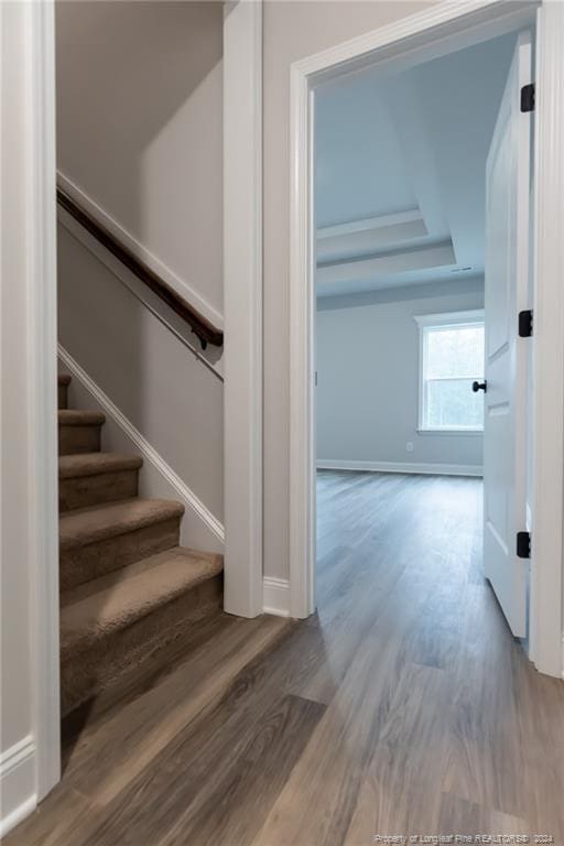 stairway with a raised ceiling and hardwood / wood-style flooring