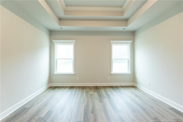 spare room featuring a raised ceiling, light hardwood / wood-style flooring, and a healthy amount of sunlight