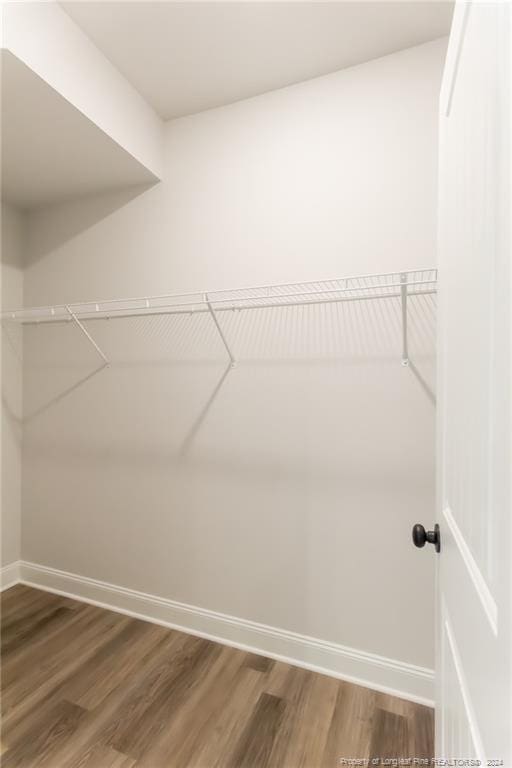 spacious closet with hardwood / wood-style flooring