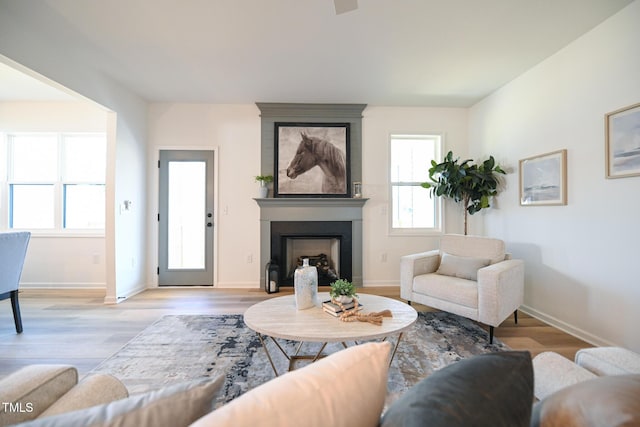 living room featuring a fireplace and light hardwood / wood-style flooring