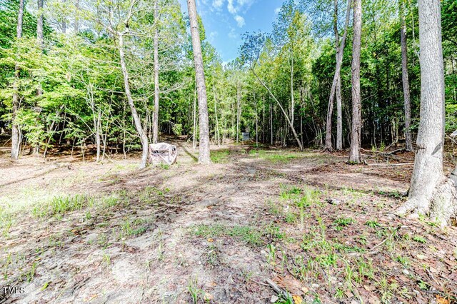 view of local wilderness featuring a wooded view