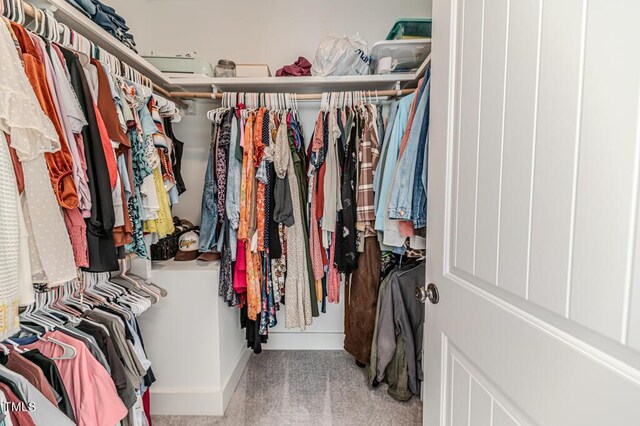 view of walk in closet