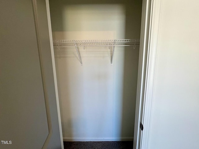 view of closet