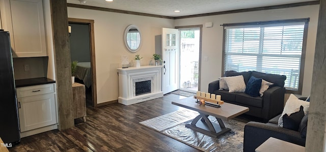 living room featuring a textured ceiling, crown molding, and dark hardwood / wood-style flooring