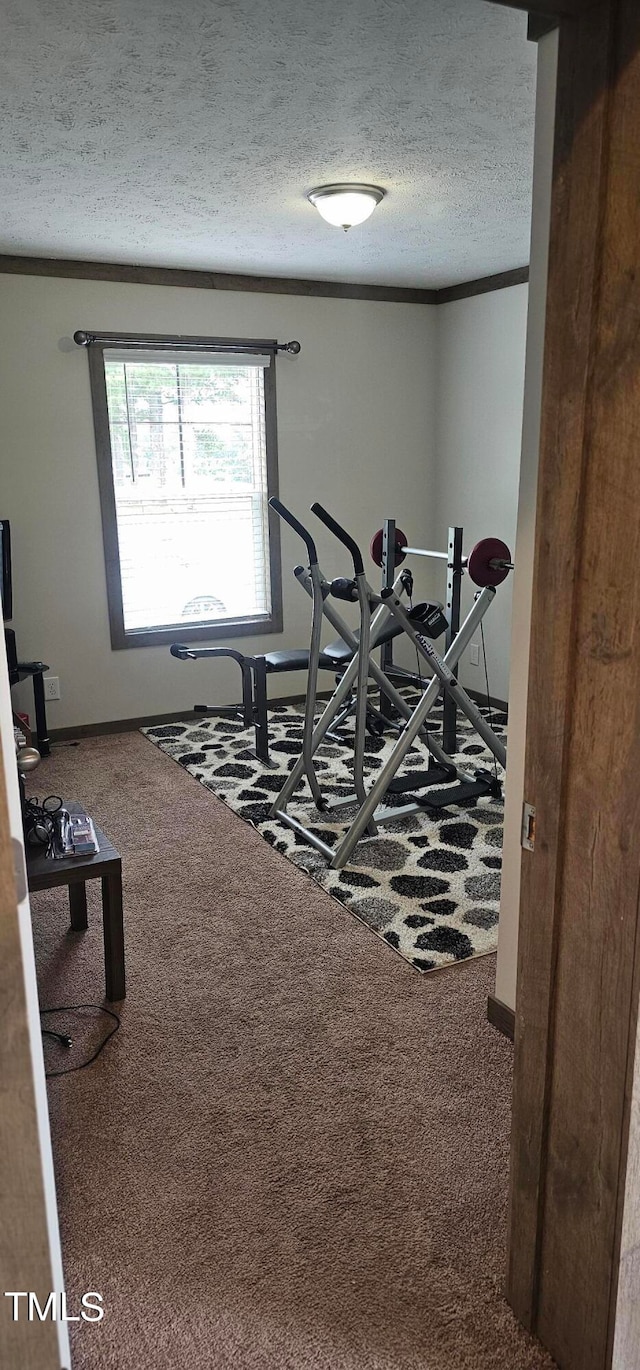 exercise area featuring a textured ceiling and carpet floors