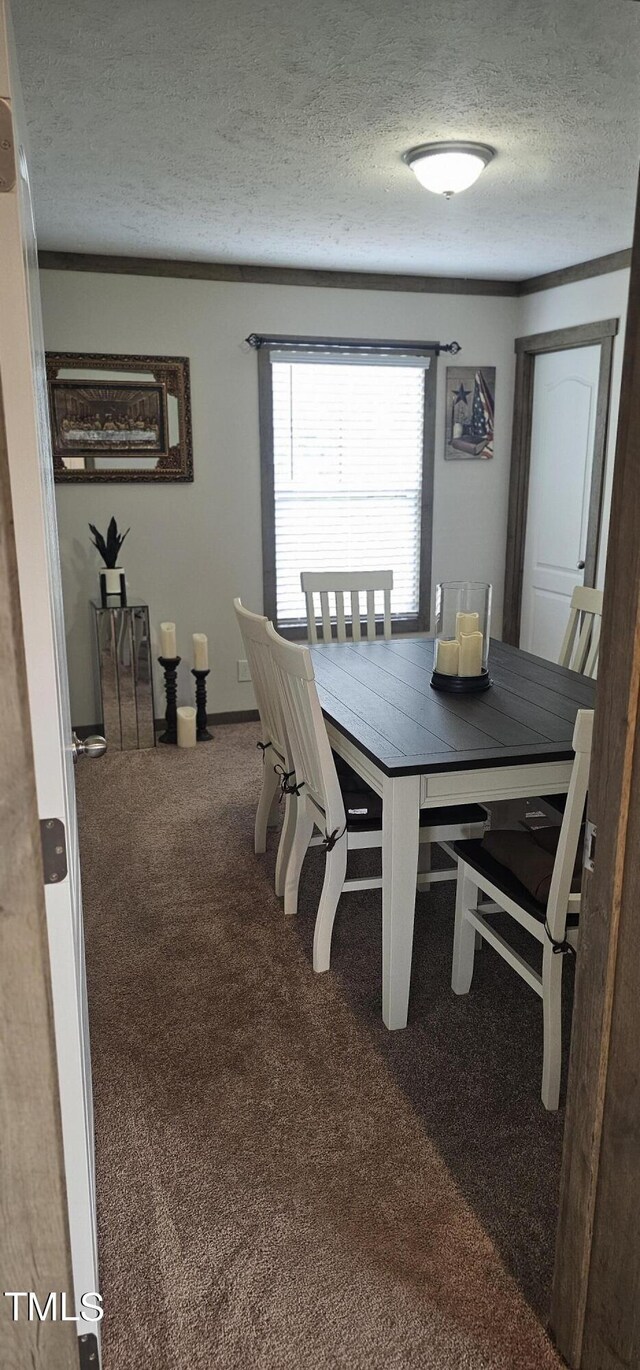 carpeted dining space featuring a textured ceiling