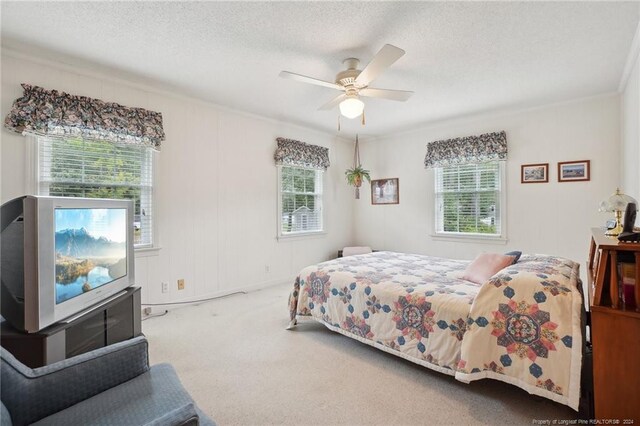 bedroom featuring ceiling fan, carpet, crown molding, and a textured ceiling