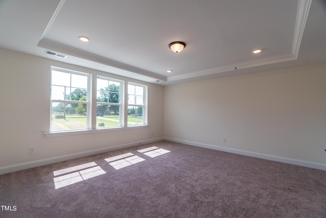 spare room featuring carpet flooring, ornamental molding, and a tray ceiling