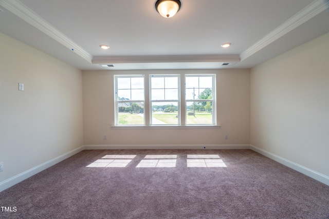 unfurnished room with crown molding, a raised ceiling, and carpet