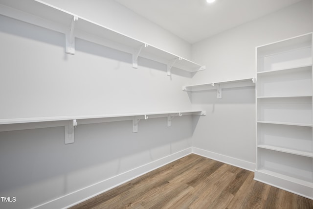 walk in closet featuring dark hardwood / wood-style floors