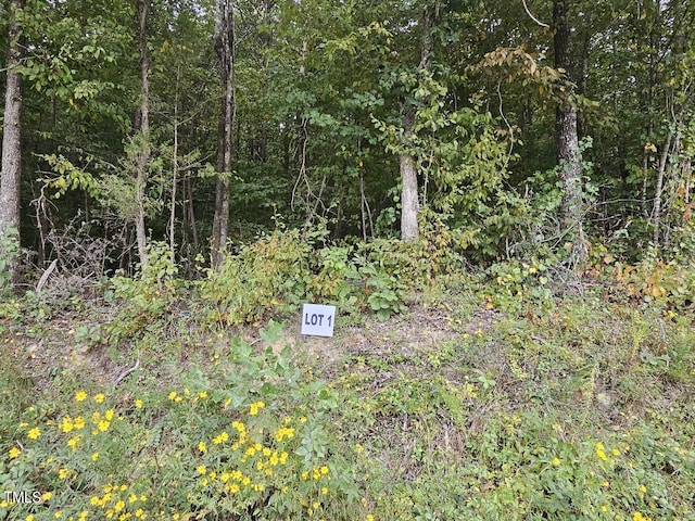 LOT1 Doll Branch Rd, Milton NC, 27305 land for sale