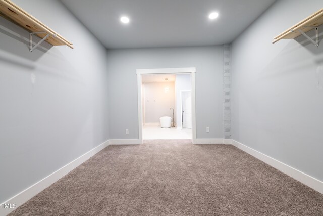 spacious closet featuring carpet floors