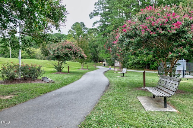 view of home's community with a lawn