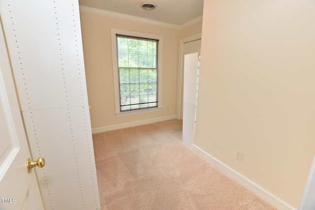 spacious closet with light carpet