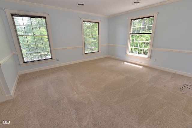 carpeted spare room with ornamental molding