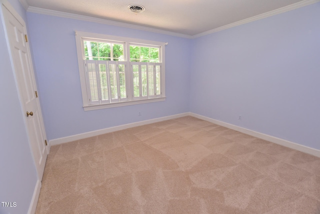 carpeted empty room with crown molding and a textured ceiling