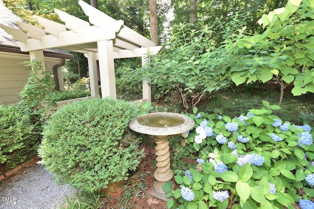 view of yard with a pergola