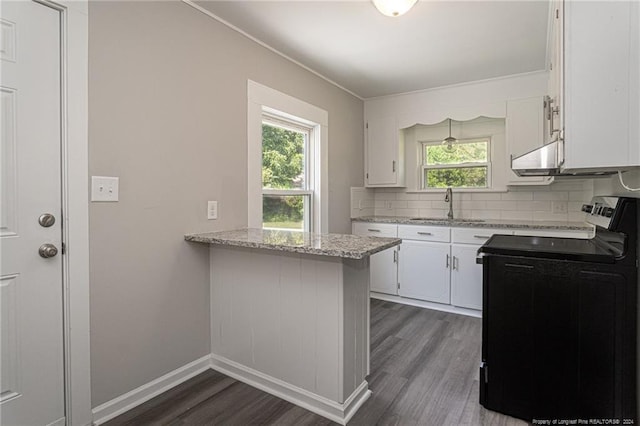 111 Sanford Rd, Laurinburg, NC 28352 - kitchen with dark wood-style flooring, electric range oven, a sink, white cabinetry, and decorative backsplash