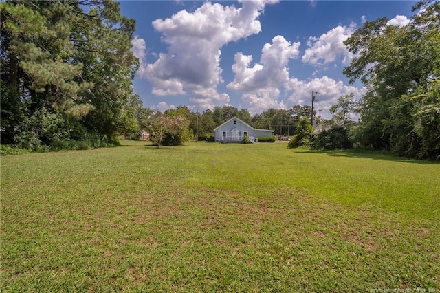 111 Sanford Rd, Laurinburg, NC 28352 - view of yard