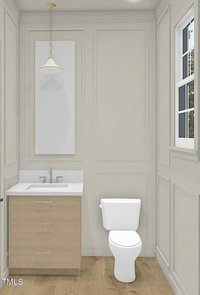 bathroom with vanity, hardwood / wood-style flooring, and toilet