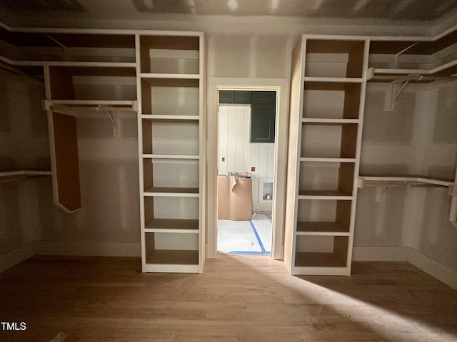 walk in closet featuring wood finished floors