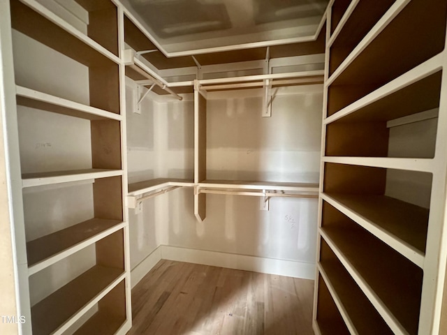 walk in closet featuring wood finished floors