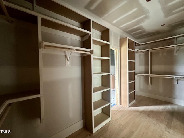 walk in closet with wood finished floors