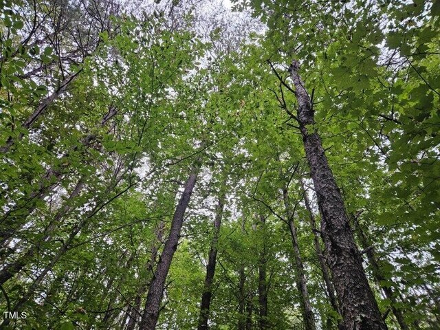 LOT4 Doll Branch Rd, Milton, NC 27305