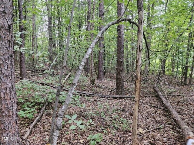 LOT4 Doll Branch Rd, Milton, NC 27305