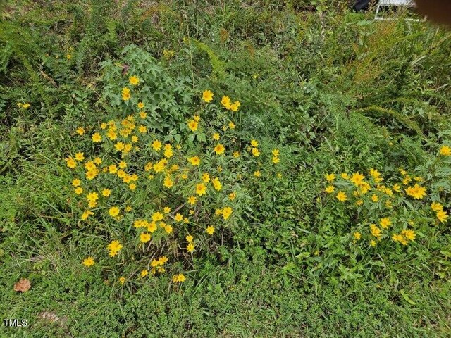 LOT4 Doll Branch Rd, Milton, NC 27305