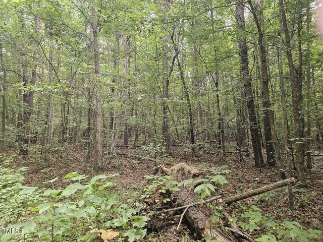 LOT4 Doll Branch Rd, Milton, NC 27305