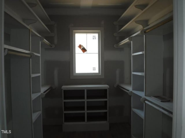 view of spacious closet