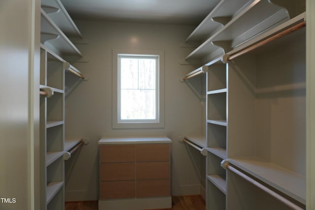 walk in closet with light wood-style floors