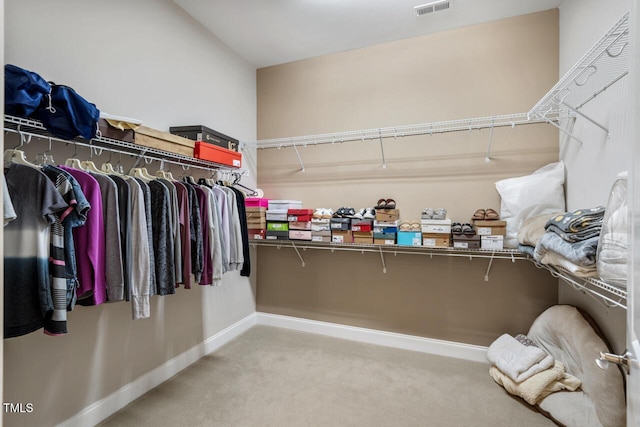 108 Boone St, Chapel Hill, NC 27516 - spacious closet with visible vents and carpet