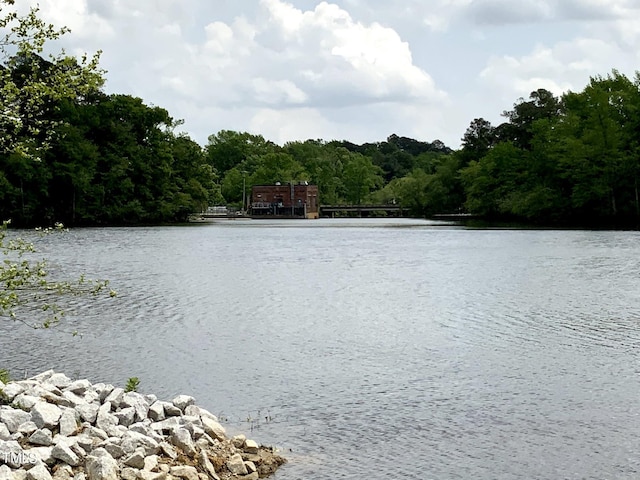 1005 Sunnybrook Rd S, Wilson, NC 27893 - water view with a wooded view